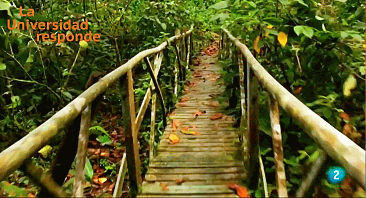 La aventura del Saber - ¿Qué es el ecoturismo?