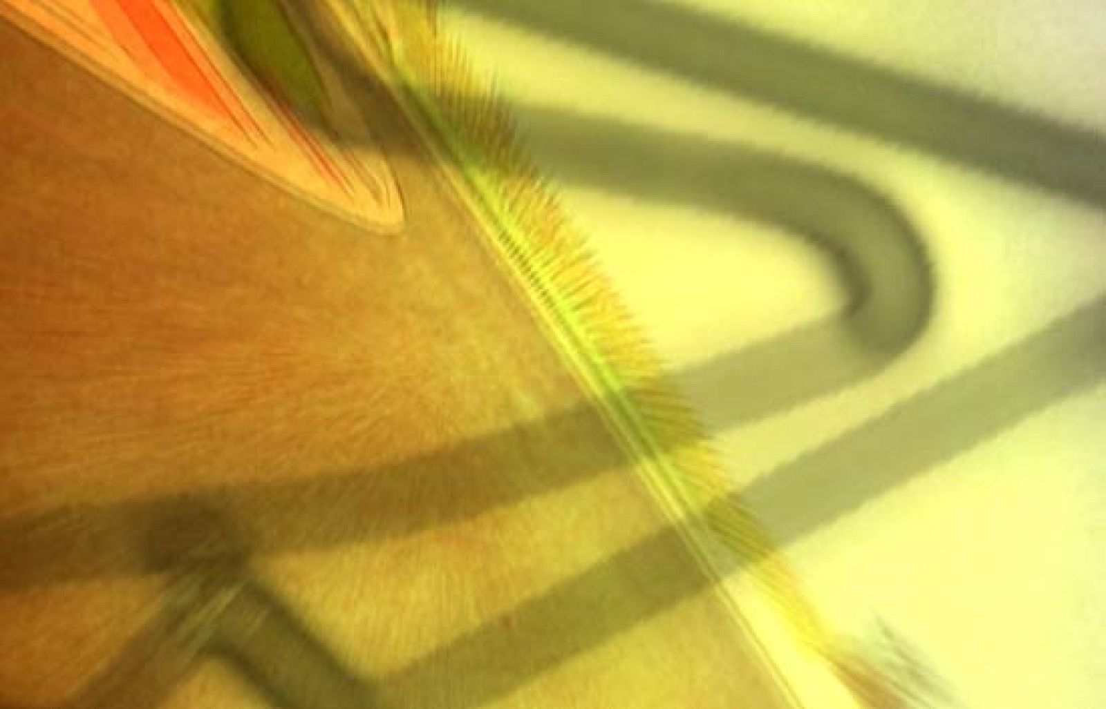 Conoce las características técnicas del circuito de Misano.