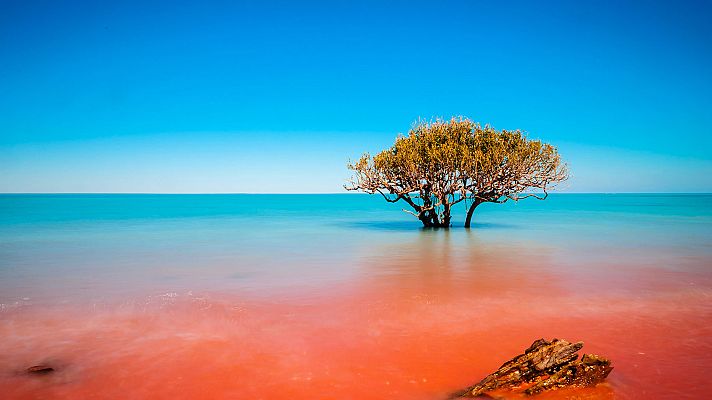 Documenta2 - Australia: guía para el viajero del tiempo. La gran isla