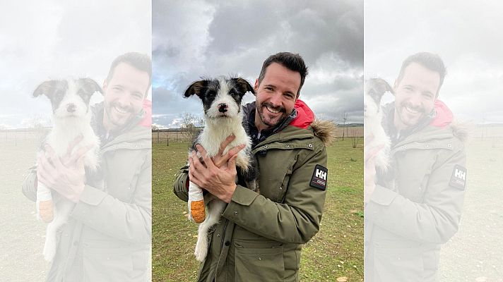 Aquí la Tierra - Érase una vez una granja llena de animales con ganas de mimo