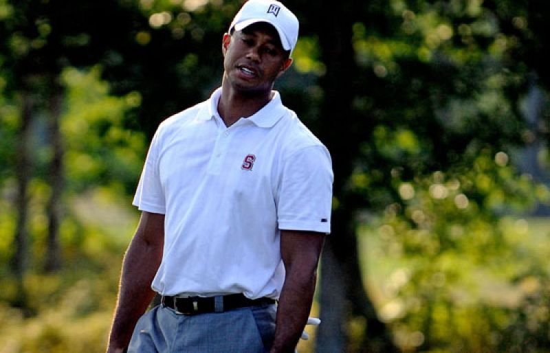 Tiger no anda fino | Ver