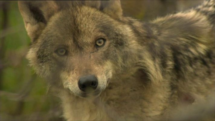 Agrosfera - Agrosfera - 20/02/21