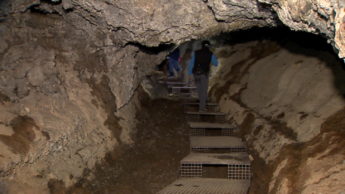 Telecanarias - Telecanarias 2 - 19/02/2021