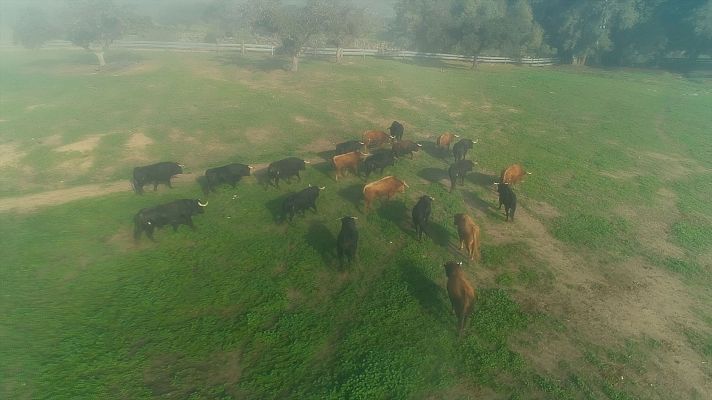 Las Rutas de... - Sevilla, del campo a la tapa