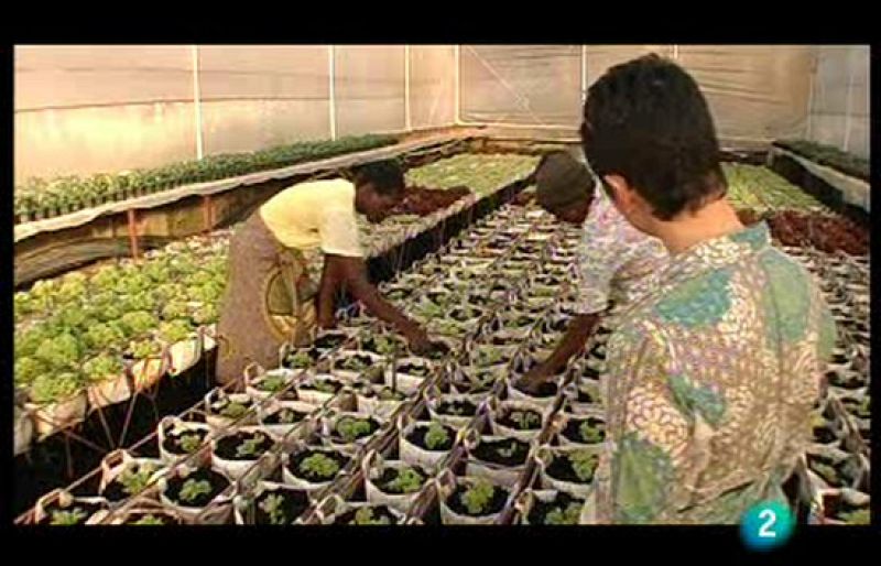 En portada - Viaje a la finca de Mugabe. Contraportada