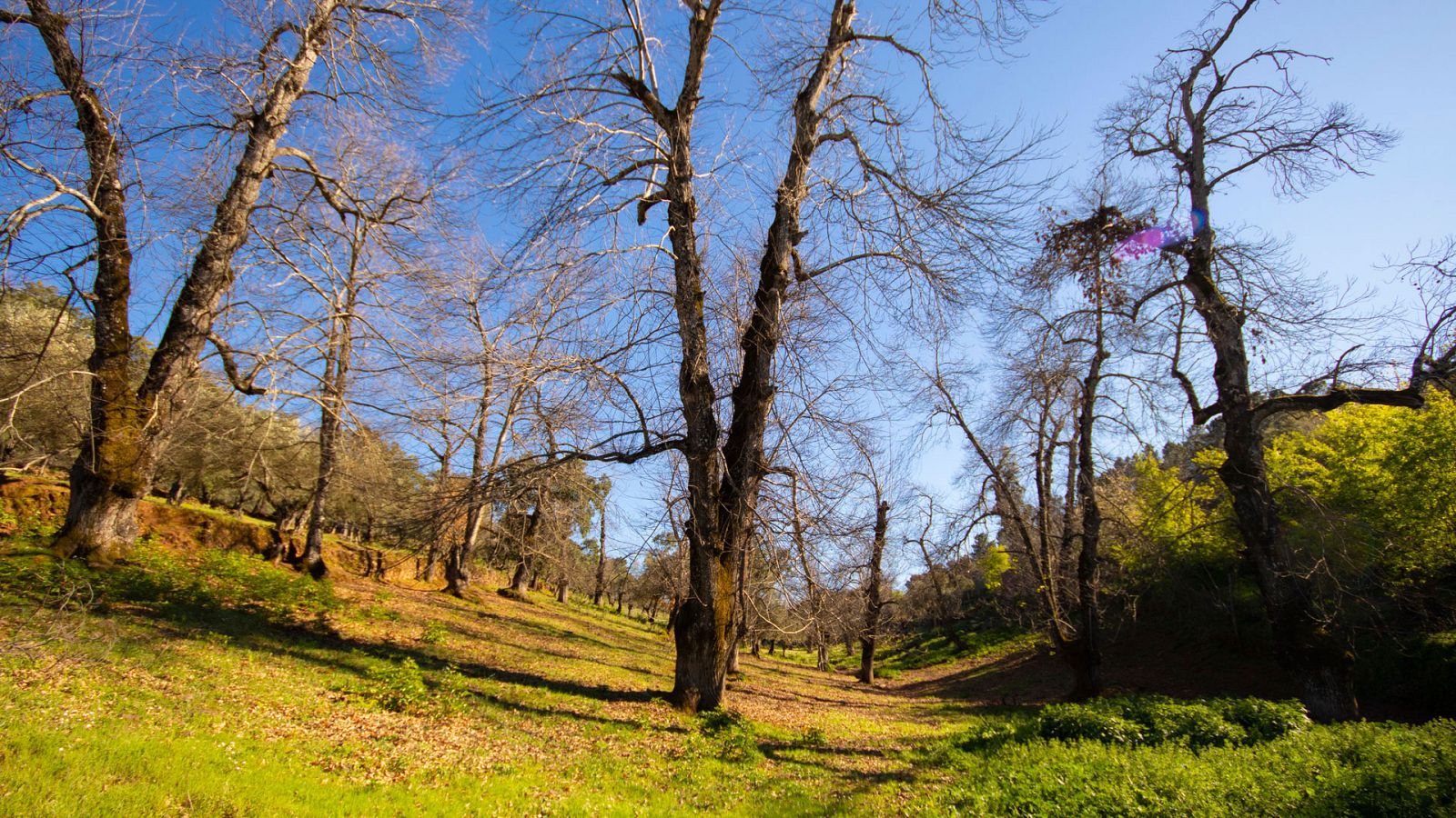 Senderos del mundo - Temporada 1 - Episodio 3 - ver ahora