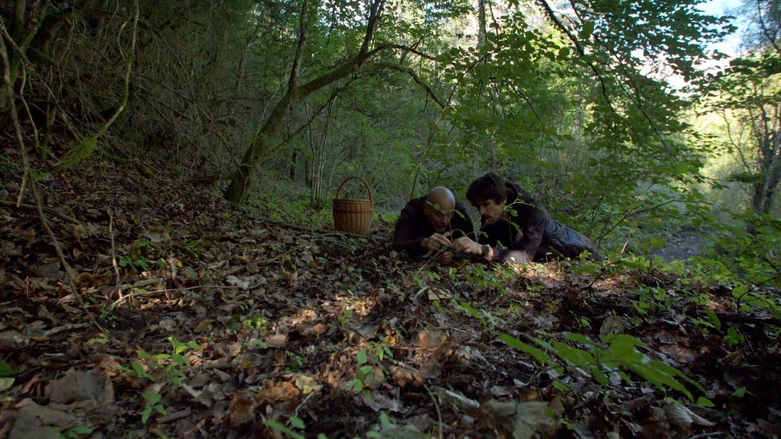 El señor de los bosques - La Font de l'Adou - ver ahora