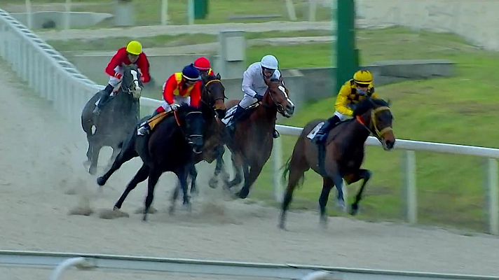 Hípica - Circuito nal. carreras de caballos (Hipódromo La Zarzuela)