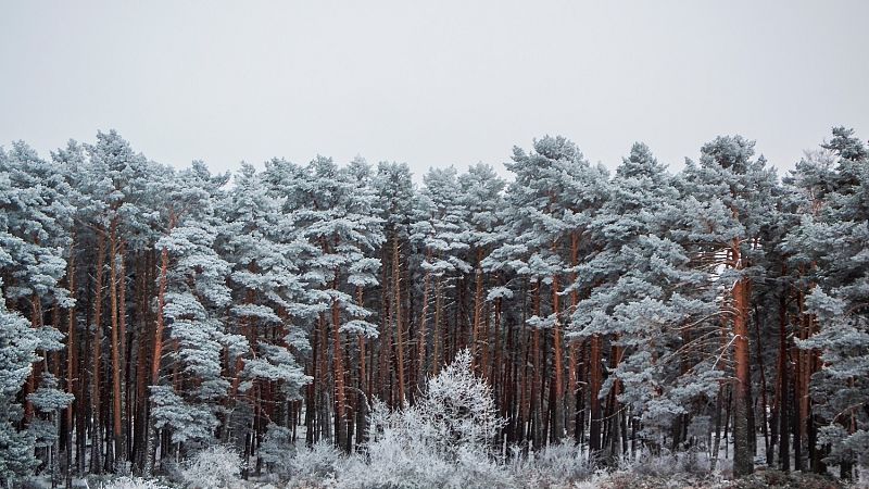 Nevadas por encima de 900/1200 m en el entorno de los sistemas Central e Ibérico - Ver ahora