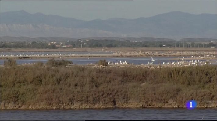 L'informatiu - Comunitat Valenciana - L'Informatiu Comunitat Valenciana 2 - 22/02/21