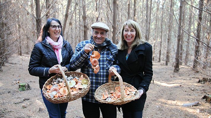 Expedición culinaria. Alimentos de la tierra - Otoño