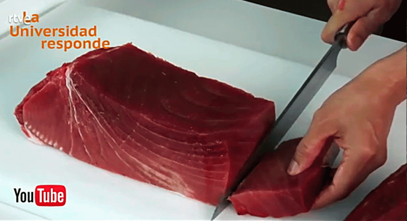 La aventura del saber Es malo comer mucho atun Murcia Universidad Responde #AventuraSaberUResponde