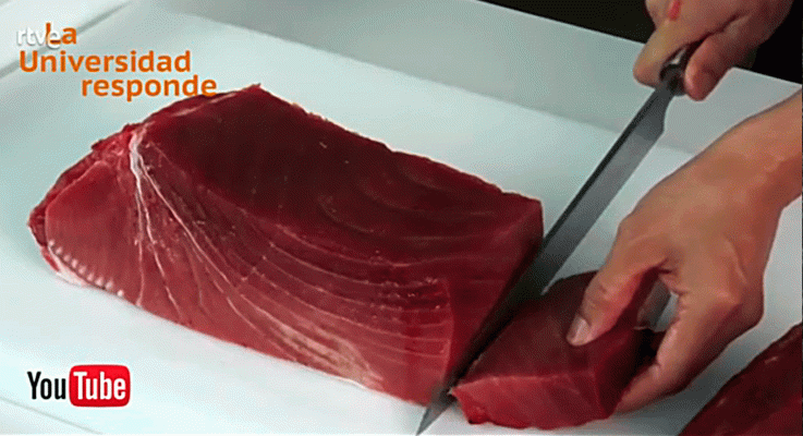 La aventura del Saber - ¿Es malo comer mucho atún?