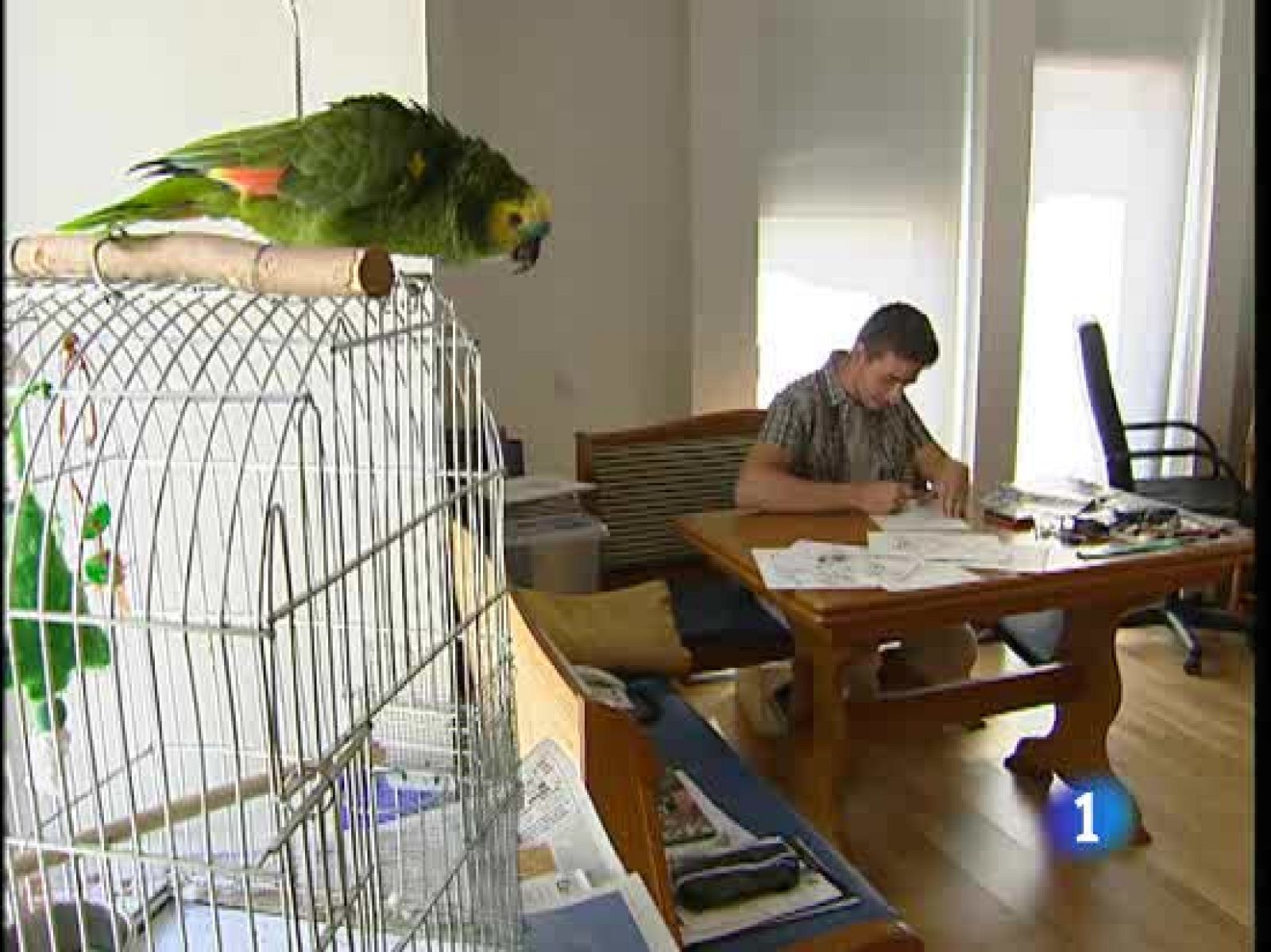 Superman, Spiderman o el increible Hulk se dibujan en España | Ver