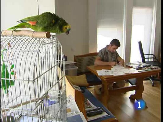  - Los héroes de comic se dibujan aquí