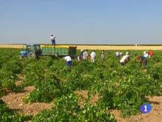 Noticias de Castilla-La Mancha - Noticias de Castilla-La Mancha - 07/09/09