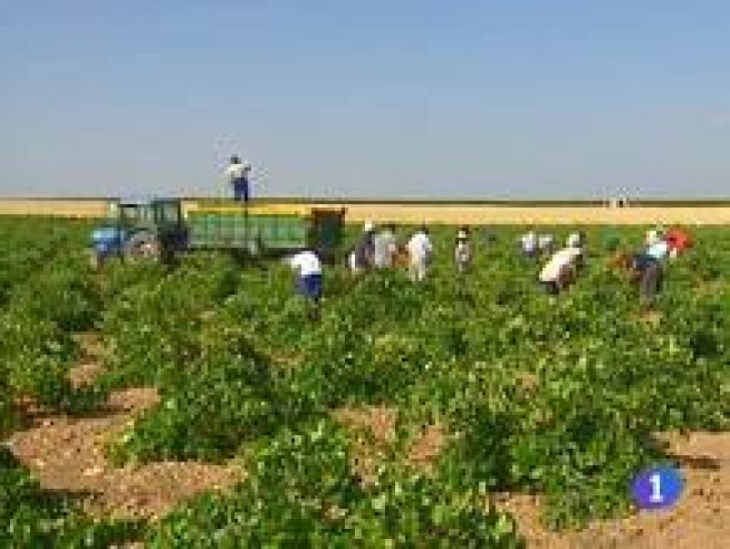 Noticias de Castilla-La Mancha.Informativo de Castilla-La Mancha.07/09/09