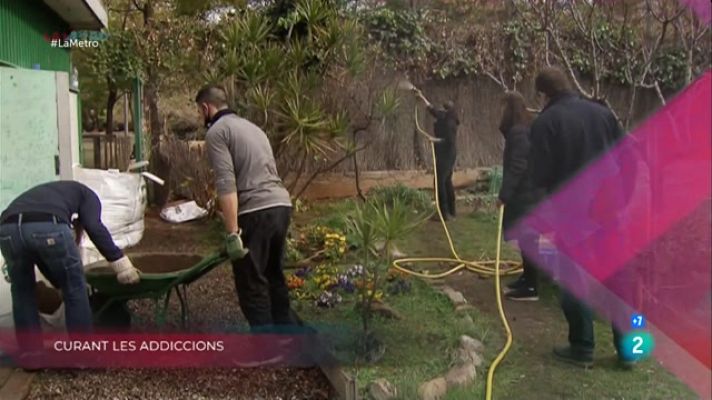 La Metro - Curant les addiccions, Teràpia amb cavalls i Mercat setmanal