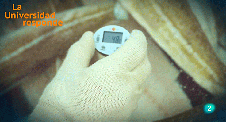 La aventura del Saber - ¿Sirven los ultrasonidos para alargar la vida del pescado?