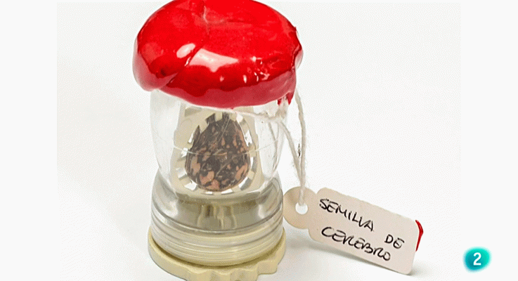 La aventura del Saber - Boek visual: Javier Seco