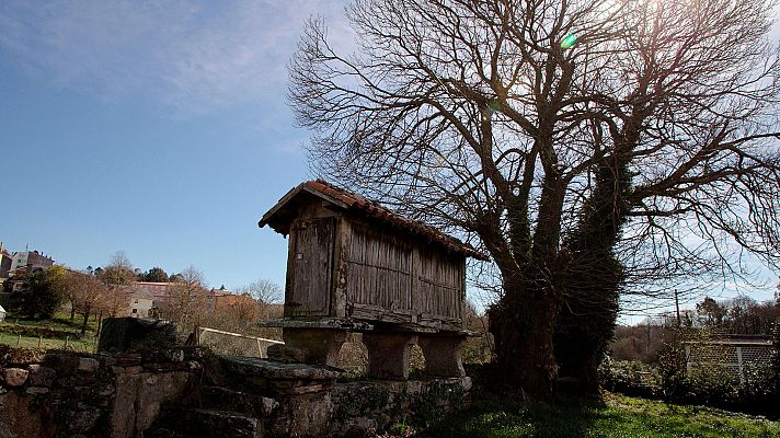El tiempo - Intervalos de viento fuerte del nordeste en el litoral gallego y Canarias