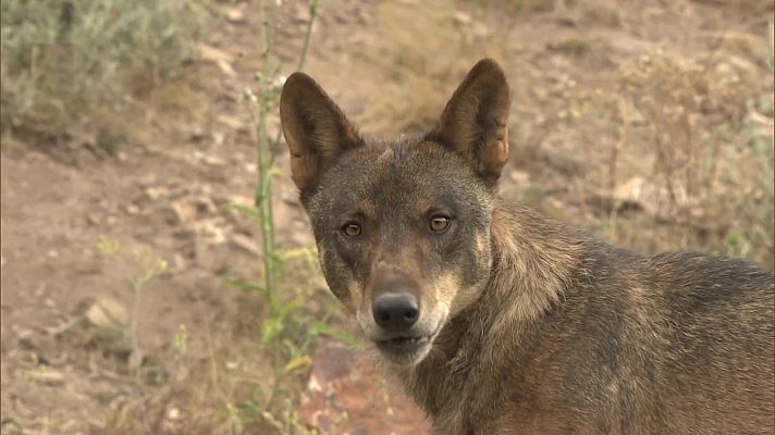 Agrosfera - Agrosfera - 27/02/21