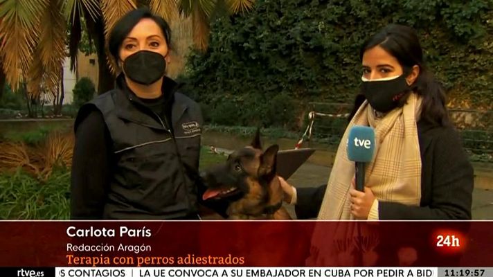 RTVE Igualdad - Perros para ayudar a las víctimas de violencia de género a recuperarse psicológicamente