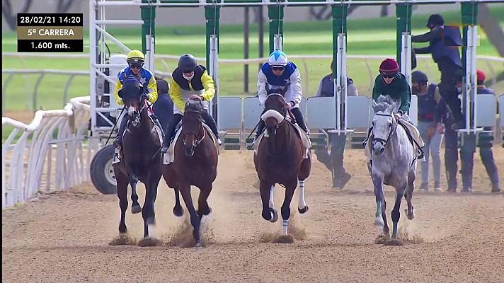 Hípica - Carreras de caballos. Desde el hipódromo de Pineda (Sevilla)