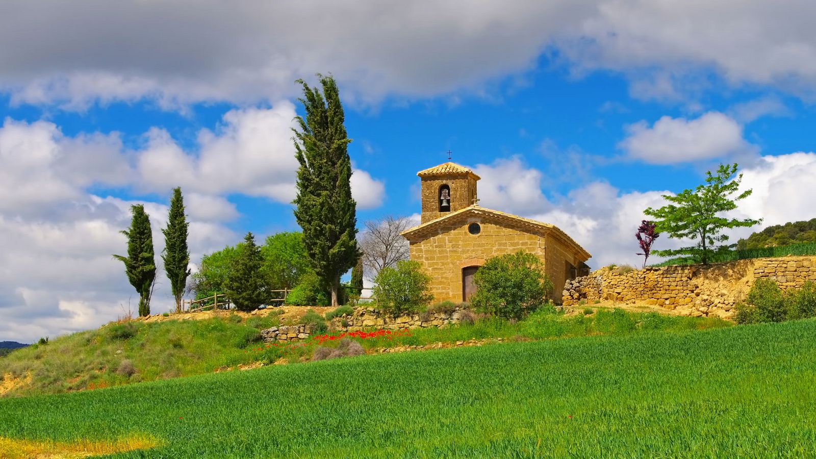 Ascenso térmico en el centro del país y viento intenso en varias zonas - Ver ahora