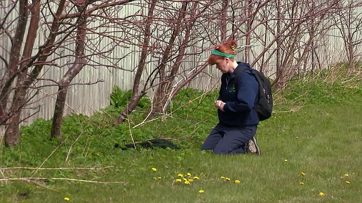 That's English - Intermedio B2.4 - Unit 7B: Saving the Earth