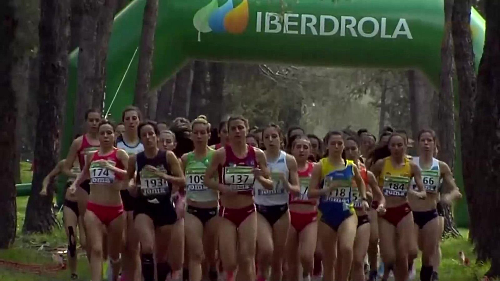 Cross - Campeonato de España Individual y Federaciones Autonómicas - ver ahora