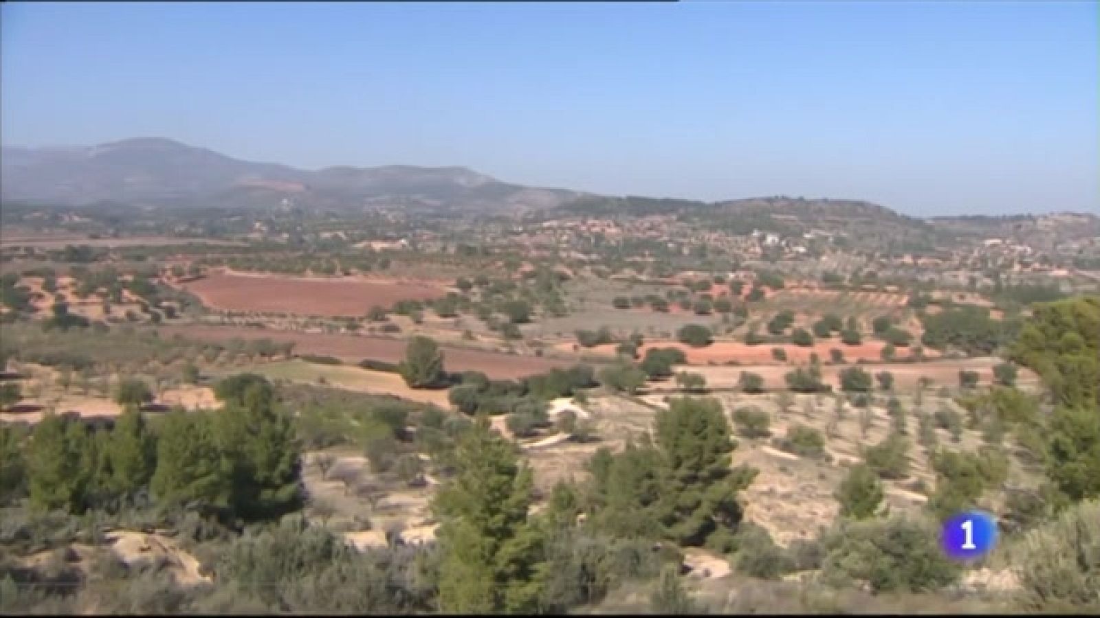 La polémica instalación de un macroparque fotovoltaico en Chiva - L'informatiu - Comunitat Valenciana | Ver