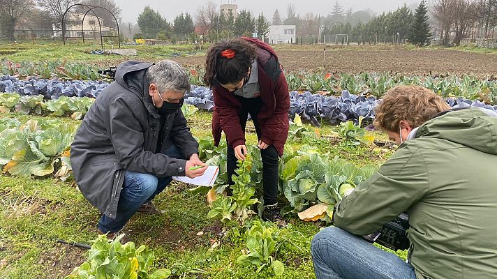 Aquí la Tierra - La primera clase de horticultura de Ramón Arangüena