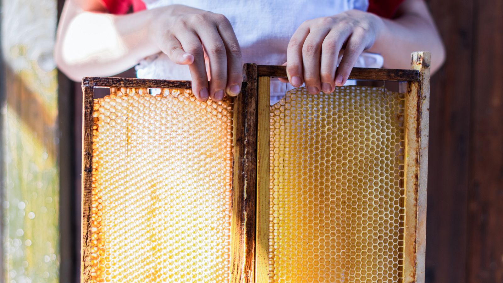 Aquí la Tierra - Así se elaboran las colmenas artificiales