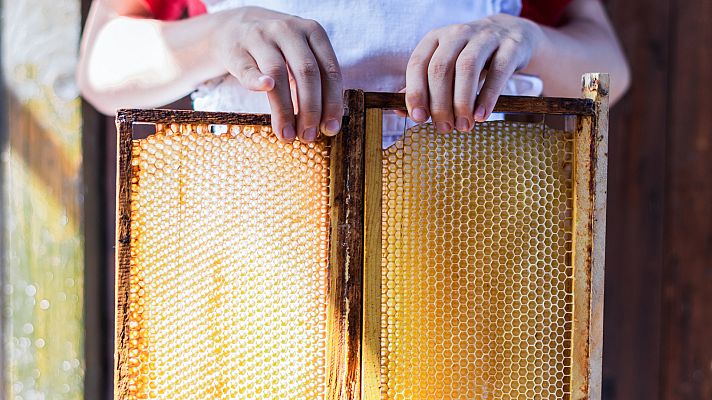 Aquí la Tierra - Así se elaboran las colmenas artificiales