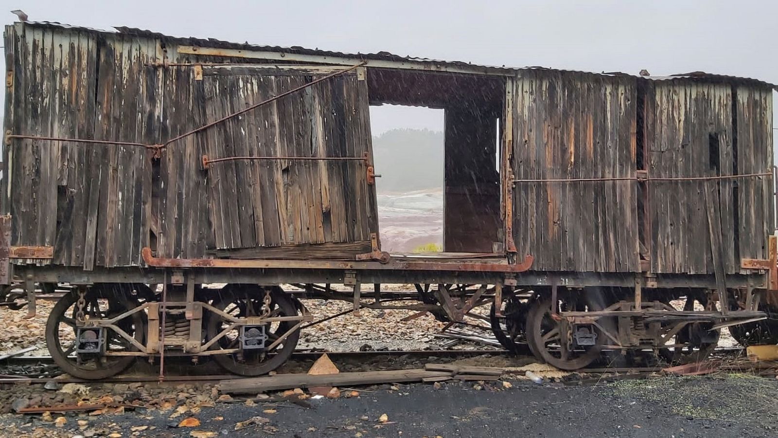 El Escarabajo verde - Paisajes subjetivos - ver ahora