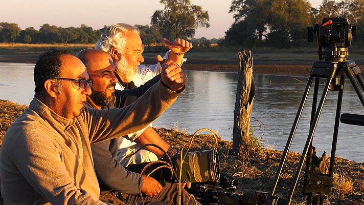 Los Image Catchers - En busca de las garzas perdidas