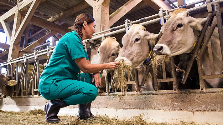 Telediario 1 - Emprender en el ámbito rural, un reto para muchas mujeres