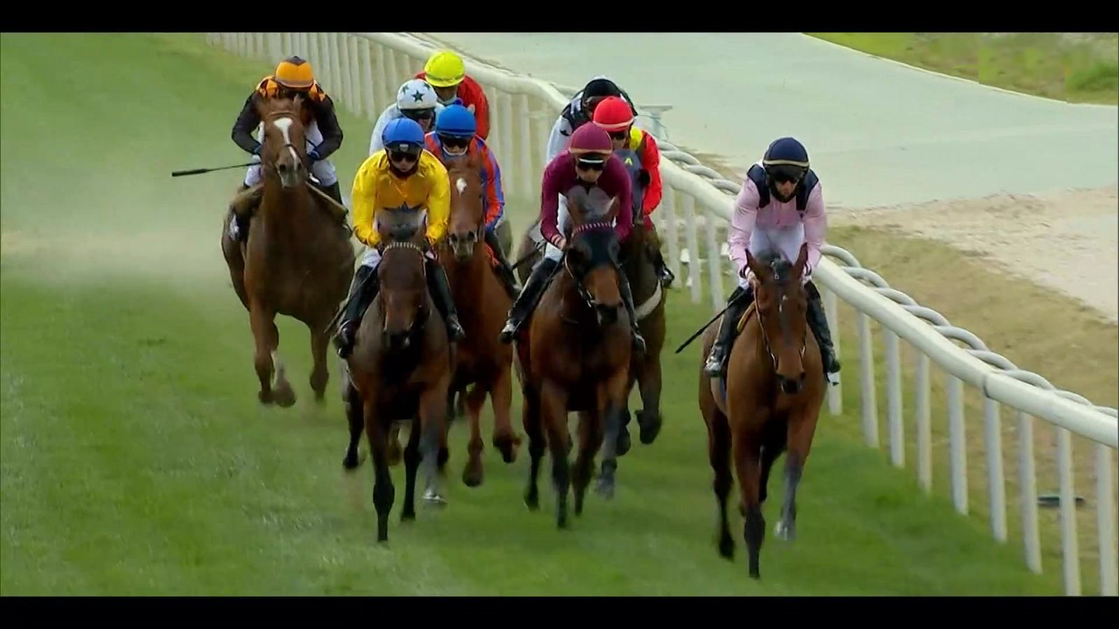 Hípica - Circuito nacional de carreras de caballos. Desde el hipódromo de La Zarzuela (Madrid) - ver ahora