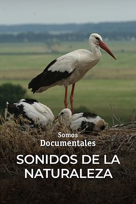 Sonidos de la Naturaleza