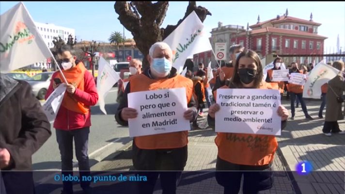 Telexornal - Galicia - Os gandeiros protestan pola protección especial do lobo