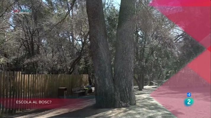 La Metro - Escola al bosc?, Formació de futur i Troballa arqueològica