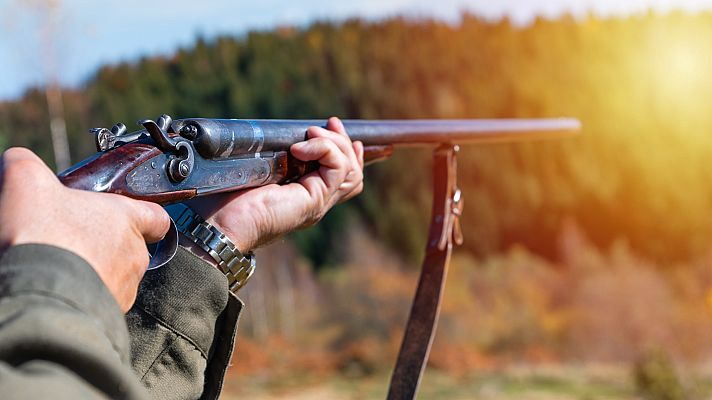 Telediario 1 - El furtivismo pone en jaque en España a muchas especies como el lince ibérico