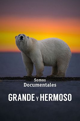 Somos Documentales - Grande y hermoso