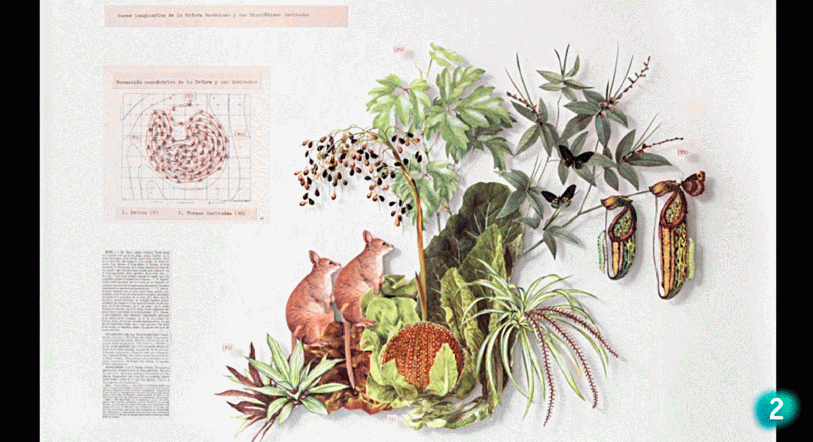 La aventura del saber Boek visual Marta de los Pajaros collage arte #PoesiaVisual #AventuraSaberBoekVisual