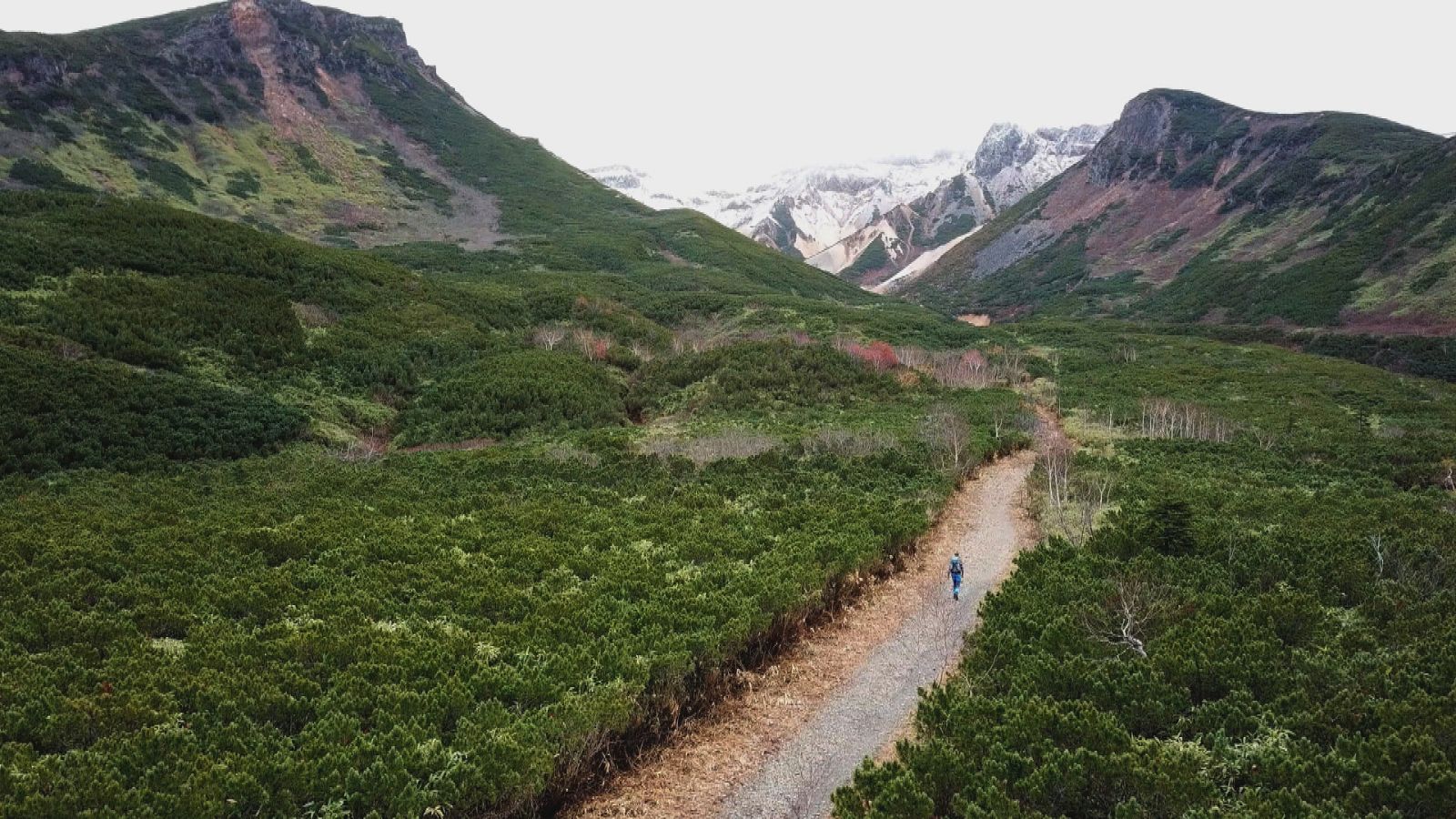 Tierras extremas - Episodio 1: Japón - ver ahora