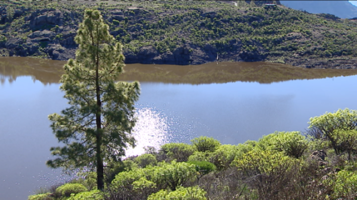 Telecanarias - Telecanarias 2 - 11/03/2021
