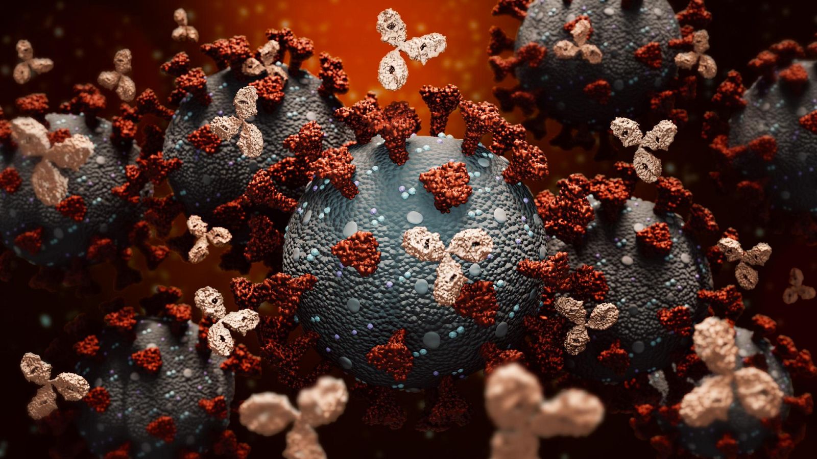 Los 'anticuerpos clonados' como alternativa a las vacunas