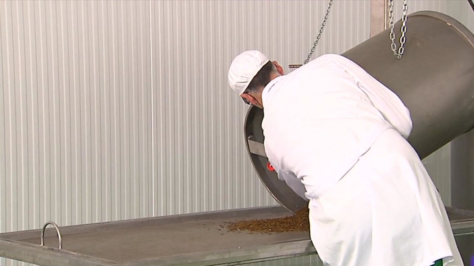 La Unión Europea ultima la aprobación de los productos alimenticios elaborados con proteínas de insectos- RTVE.es | Ver