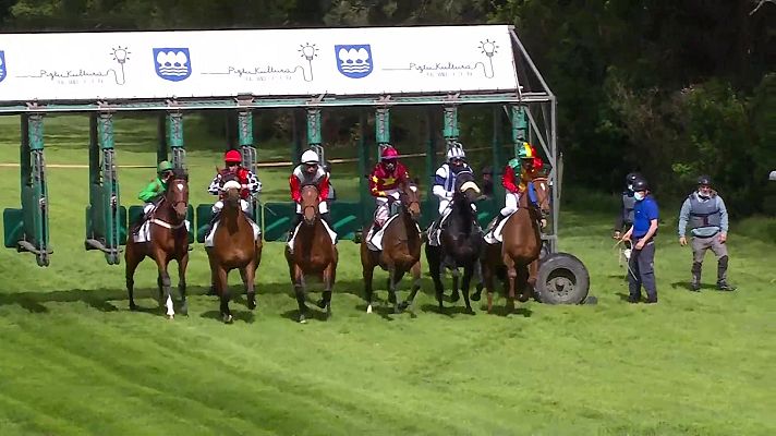 Hípica - Circuito nal. carreras de caballos (Hipódromo San Sebastián)
